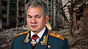 Death penalty for Sergei Shoigu for war crimes!