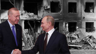 Beware of Turkey holidays: Holidaying with Russian war criminals in the same hotel?