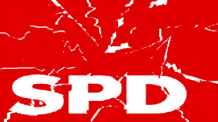 Jens Pl&ouml;tner, Andreas Michaelis, Olaf Scholz, Gerhard Schr&ouml;der und Frank-Walter Steinmeier - die Lobbyisten der SPD von Putin, in Deutschland?