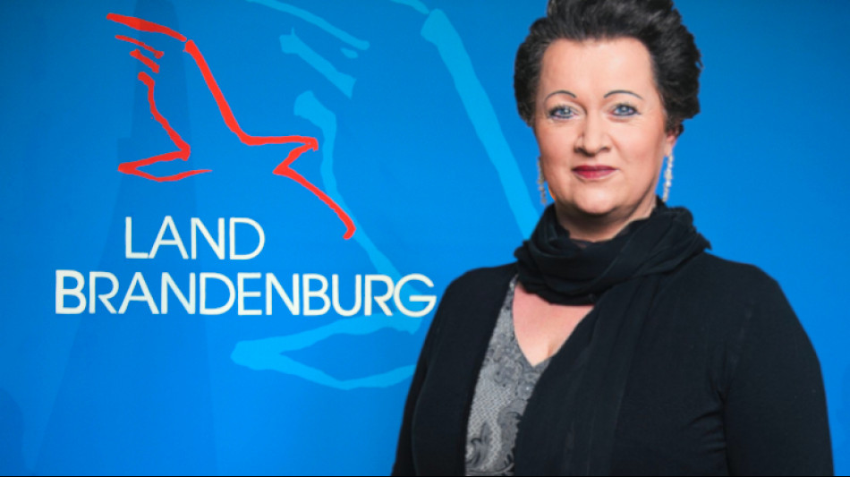 Brandeburgo: AfD en primer lugar - &iexcl;sobre todo el SPD, pero tambi&eacute;n los Verdes y la Izquierda retroceden!