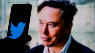 Strafanzeige in Berlin, Deutschland, gegen Elon Musk und Twitter wegen m&ouml;glichen Betruges zum Nachteil von Nutzern