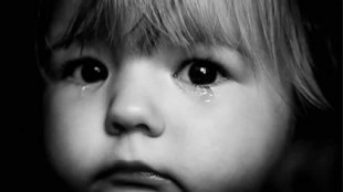 Alemania asocial: 4 metros cuadrados para una gallina y 3,5 metros cuadrados para un ni&ntilde;o de guarder&iacute;a?
