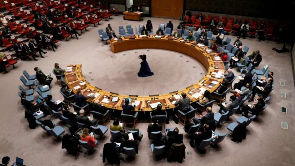 UN-Sicherheitsrat stimmt Freitag &uuml;ber Verurteilung russischen Einmarschs ab