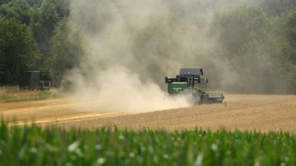 Experten sehen in Landwirtschaft gro&szlig;es Potenzial zur Emissionssenkung