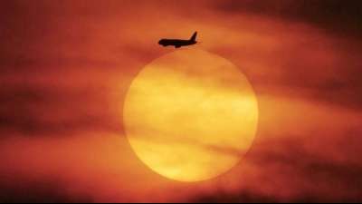 Flüge bei Vergleichsportalen oft deutlich teurer als bei den Airlines