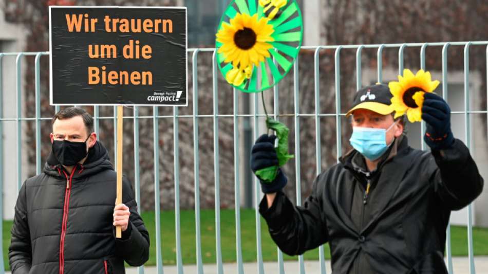 Umweltsch&uuml;tzer fordern von Regierung Tempo beim Insektenschutz