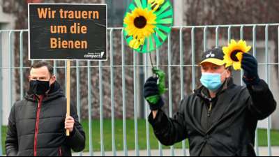Umweltsch&uuml;tzer fordern von Regierung Tempo beim Insektenschutz