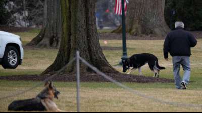 "First Dogs" Champ und Major haben Wei&szlig;es Haus verlassen