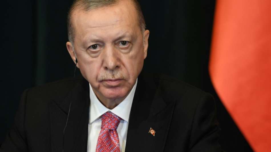 Der t&uuml;rkische Diktator Recep Tayyip Erdogan entl&auml;sst nach Streit um Inflationsrate Leiter der Statistikbeh&ouml;rde