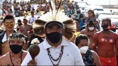 WWF warnt vor fortschreitender Regenwald-Zerst&ouml;rung am Amazonas
