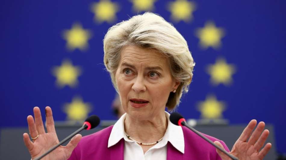 EU will m&ouml;gliche Nachahmer Lukaschenkos abschrecken