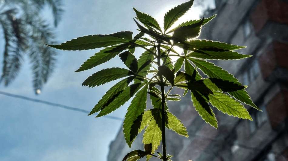 Polizei zerschl&auml;gt norddeutsch-spanischen Drogenring