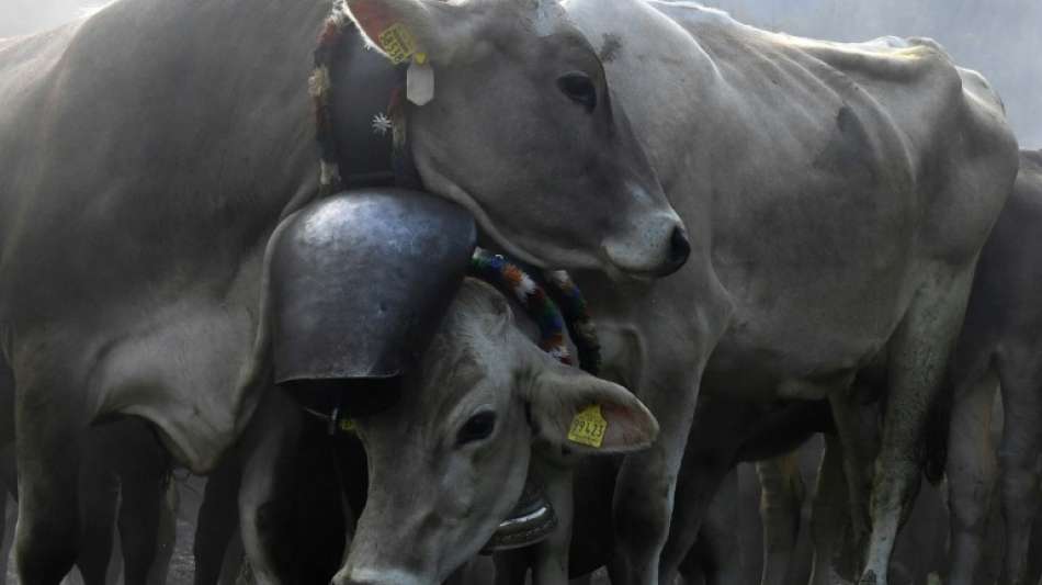 BUND fordert faire Erzeugerpreise in der Landwirtschaft