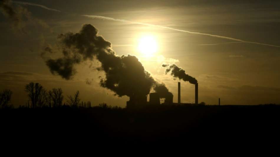 Gr&uuml;nen-Klimaexperte optimistisch f&uuml;r Kohleausstieg 2030