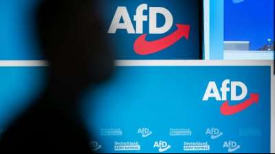 Institut DIMR: "AfD ist rassistisch und rechtsextrem"
