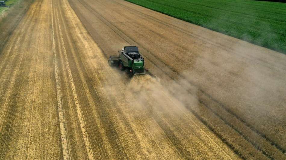 Experten werben dringend f&uuml;r mehr Hecken f&uuml;r Klimaschutz