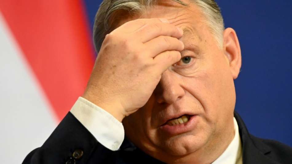 Pr&auml;sident Ader: Ungarn w&auml;hlt am 3. April ein neues Parlament