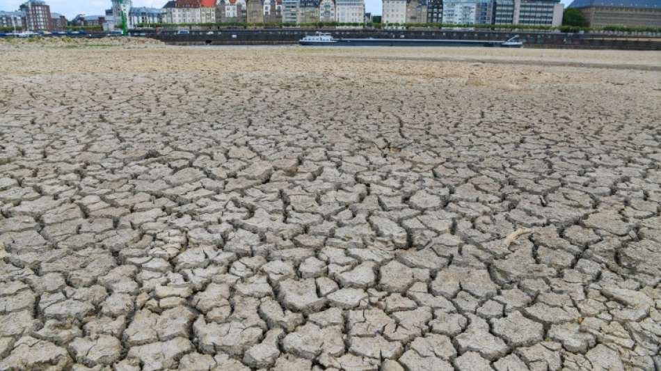 Experten warnen vor Risiken des Klimawandels in Deutschland