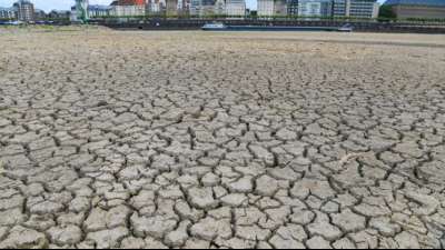 Experten warnen vor Risiken des Klimawandels in Deutschland