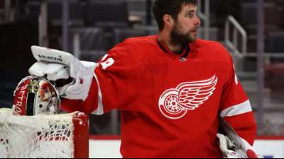 Eishockey - Kurzer Abend f&uuml;r Greiss: Red Wings gehen unter
