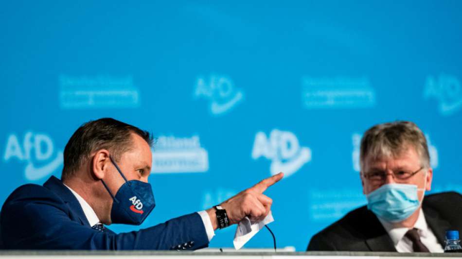 AfD vertagt Spitzenkandidatenfrage - Aufrufe zur Geschlossenheit