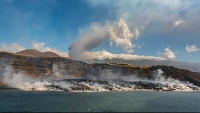 Drohne soll zwischen Lavastr&ouml;men eingeschlossene Hunde auf La Palma retten