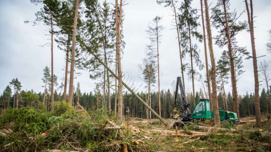 Erzeugerpreise f&uuml;r Rohholz erstmals seit 2014 gestiegen