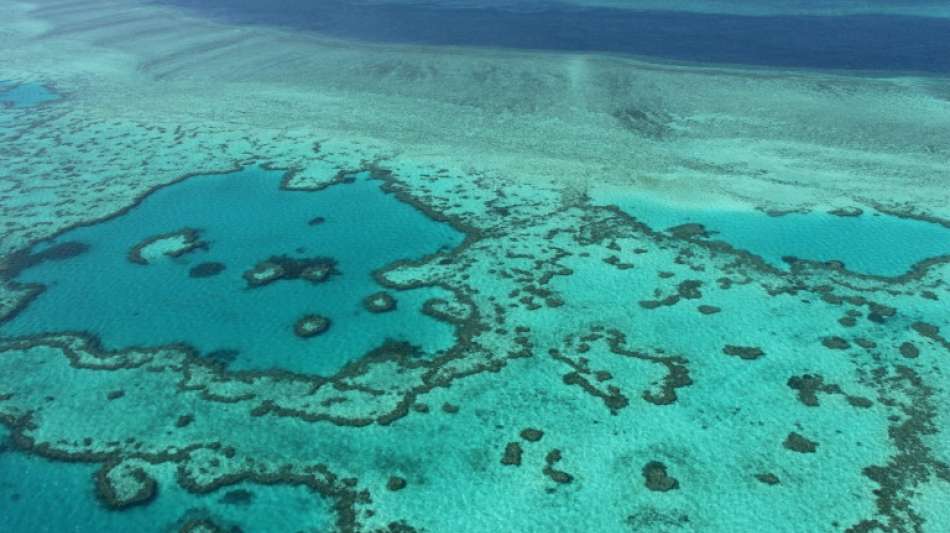 Australien k&uuml;ndigt Widerstand gegen Herabstufung des Great Barrier Reef an