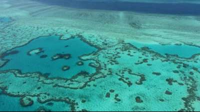 Australien k&uuml;ndigt Widerstand gegen Herabstufung des Great Barrier Reef an