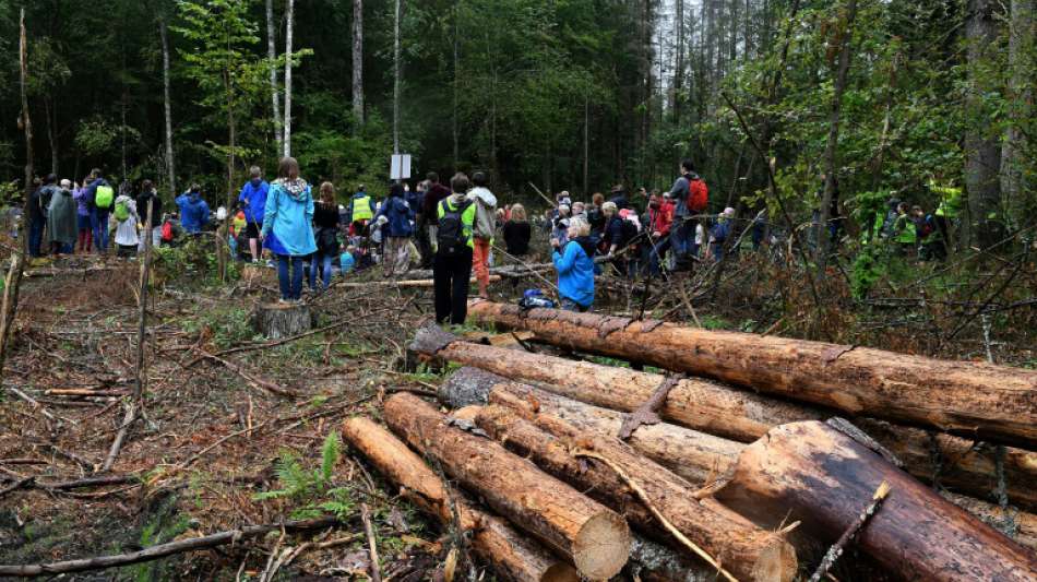 Br&uuml;ssel ermahnt Polen wegen Abholzung von Bialowieza-Urwald