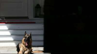 "First Dogs" Champ und Major ziehen ins Wei&szlig;e Haus ein