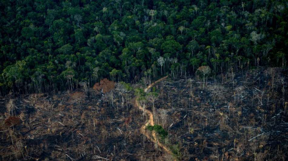 Bergbau-Giganten wollen die Ureinwohner-Gebiete im Amazonas