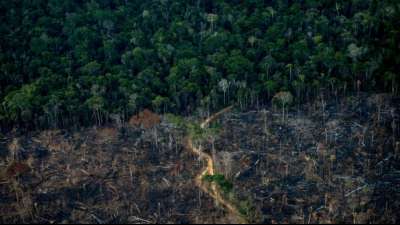 Bergbau-Giganten wollen die Ureinwohner-Gebiete im Amazonas