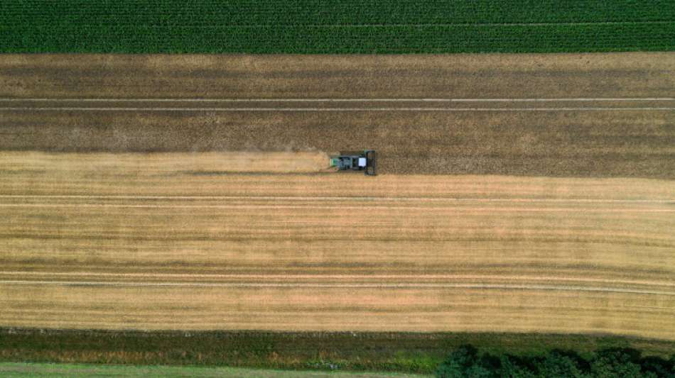 Umweltministerin Schulze will Naturschutz-Vorhaben von Landwirten gezielter f&ouml;rdern
