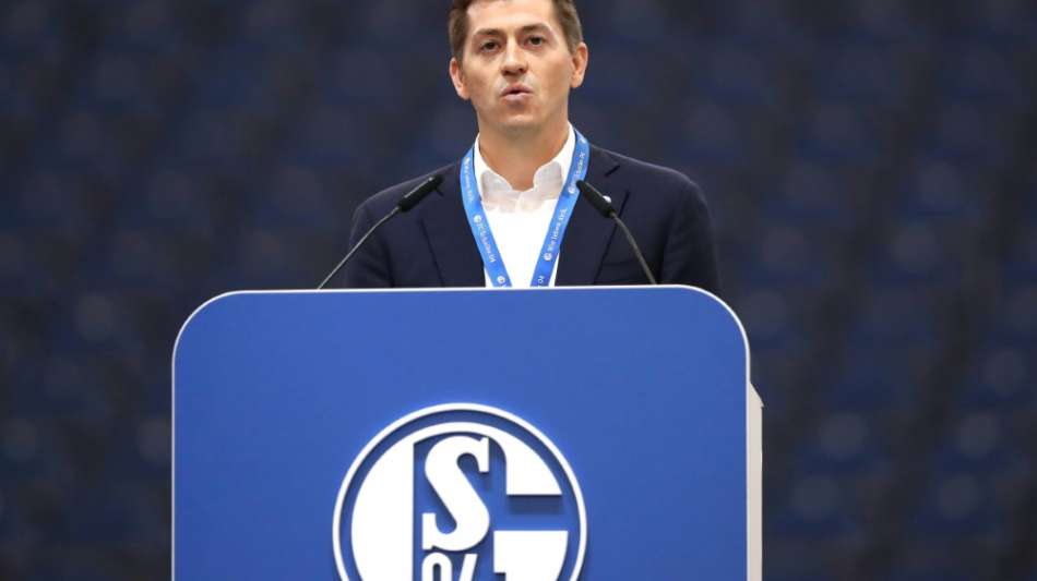 Schalke w&auml;hlt neuen Aufsichtsrat - Stevens geht mit Applaus