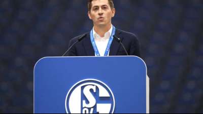 Schalke w&auml;hlt neuen Aufsichtsrat - Stevens geht mit Applaus