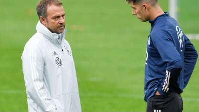 WM-Quali: DFB-Team mit Havertz und Gosens nach Island