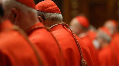 Papst k&uuml;rzt Geh&auml;lter von Kardin&auml;len und anderen W&uuml;rdentr&auml;gern