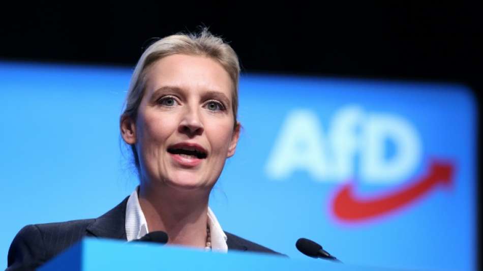 AfD scheitert mit Klage gegen Bu&szlig;geld in Spendenaff&auml;re um Fraktionschefin Weidel