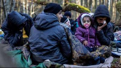 Polens Polizei nimmt mehr als 50 Migranten nahe der Grenze zu Belarus fest