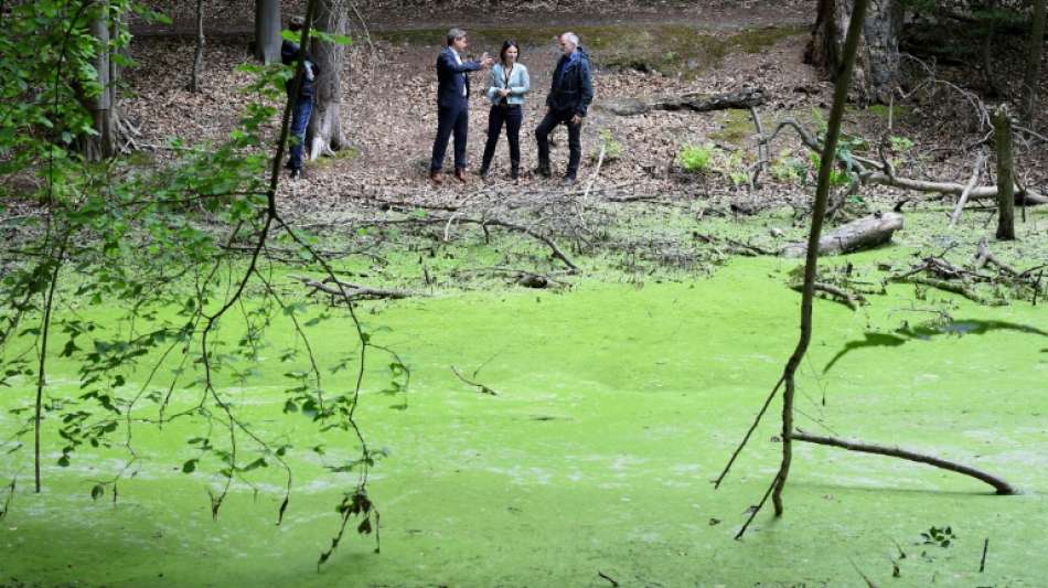 Bundesregierung streitet &uuml;ber besseren Schutz der Moore