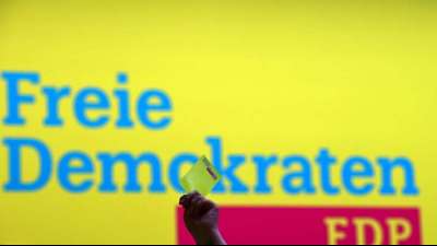 Kieler Wirtschaftsminister Buchholz ist FDP-Spitzenkandidat bei Landtagswahl
