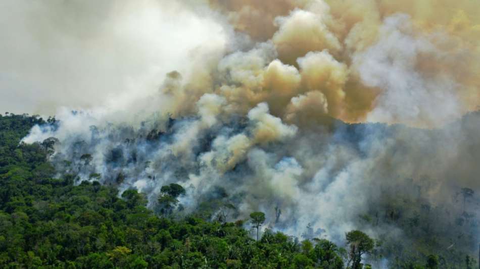 Schlimmster Juni f&uuml;r Brasiliens Amazonasw&auml;lder durch Br&auml;nde seit 2007 