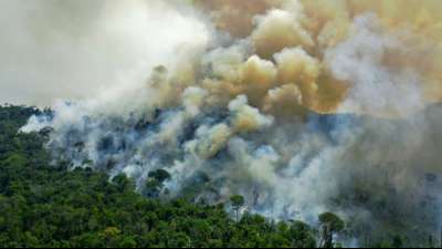 Schlimmster Juni f&uuml;r Brasiliens Amazonasw&auml;lder durch Br&auml;nde seit 2007 