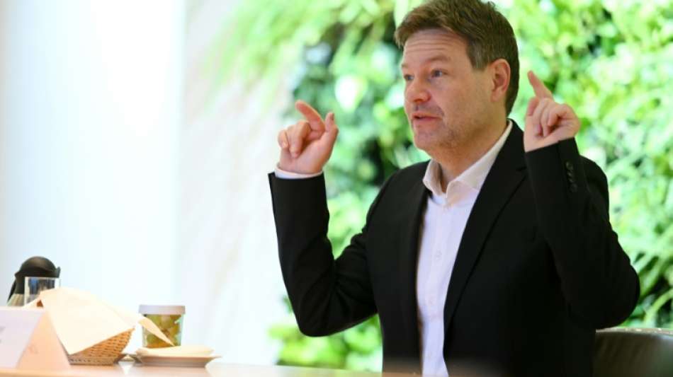 Habeck glaubt an rasche Aufkl&auml;rung der Vorw&uuml;rfe gegen Gr&uuml;ne
