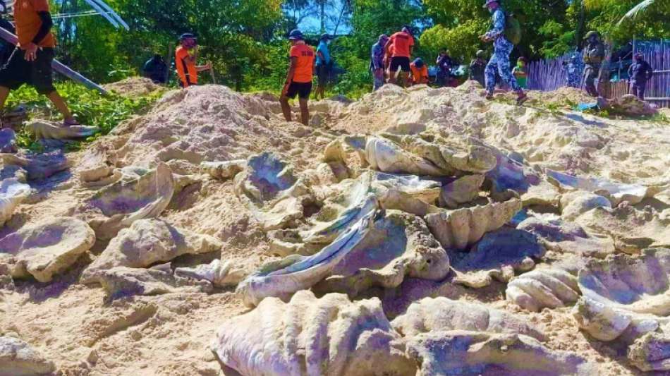 Riesenmuscheln im Wert von 20 Millionen Euro auf den Philippinen beschlagnahmt