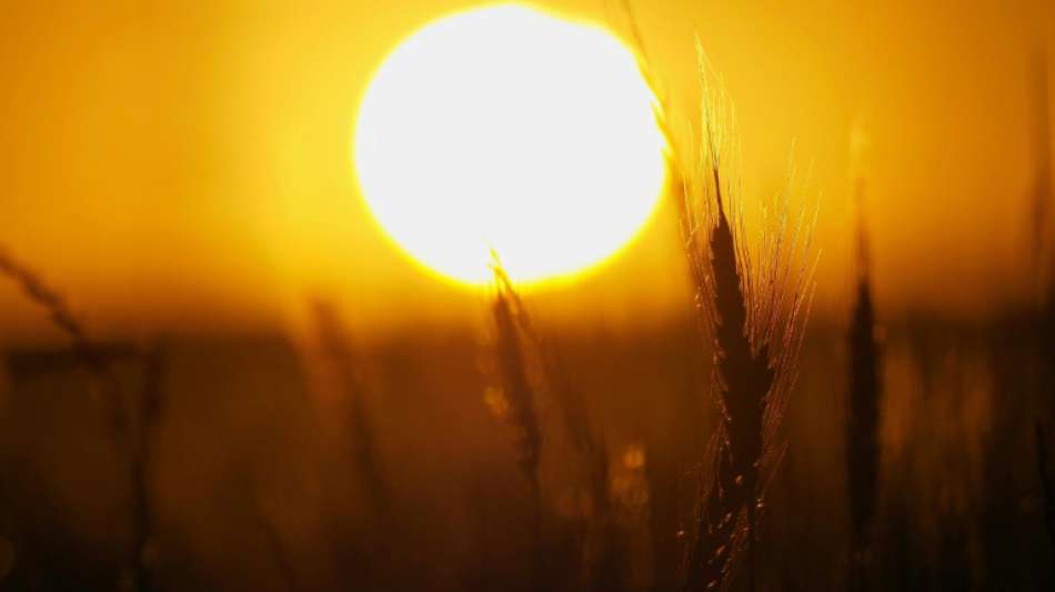 Studie: Wärme Temperaturen im Sommer werden Corona-Pandemie kaum bremsen