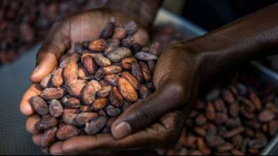 Studie: Nachfrage nach Produkten wie Kaffee und Soja f&ouml;rdert Rodung der Tropenw&auml;lder 