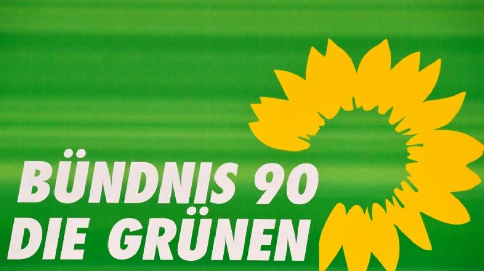 Nouripour will als Gr&uuml;nen-Chef "zerst&ouml;rtes Vertrauen" gewinnen