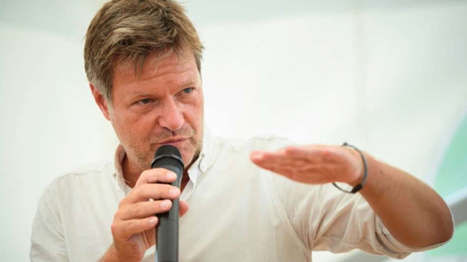 Gr&uuml;nen-Chef Robert Habeck ist gegen h&ouml;heres Rentenalter 